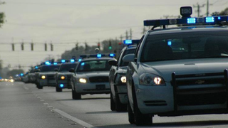 Police Arrest 8-Year-Old Florida Girl And Charge Her With Felony Car Burglary